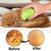 Self Cleaning Pet Steam Brush