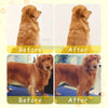 Self Cleaning Pet Steam Brush